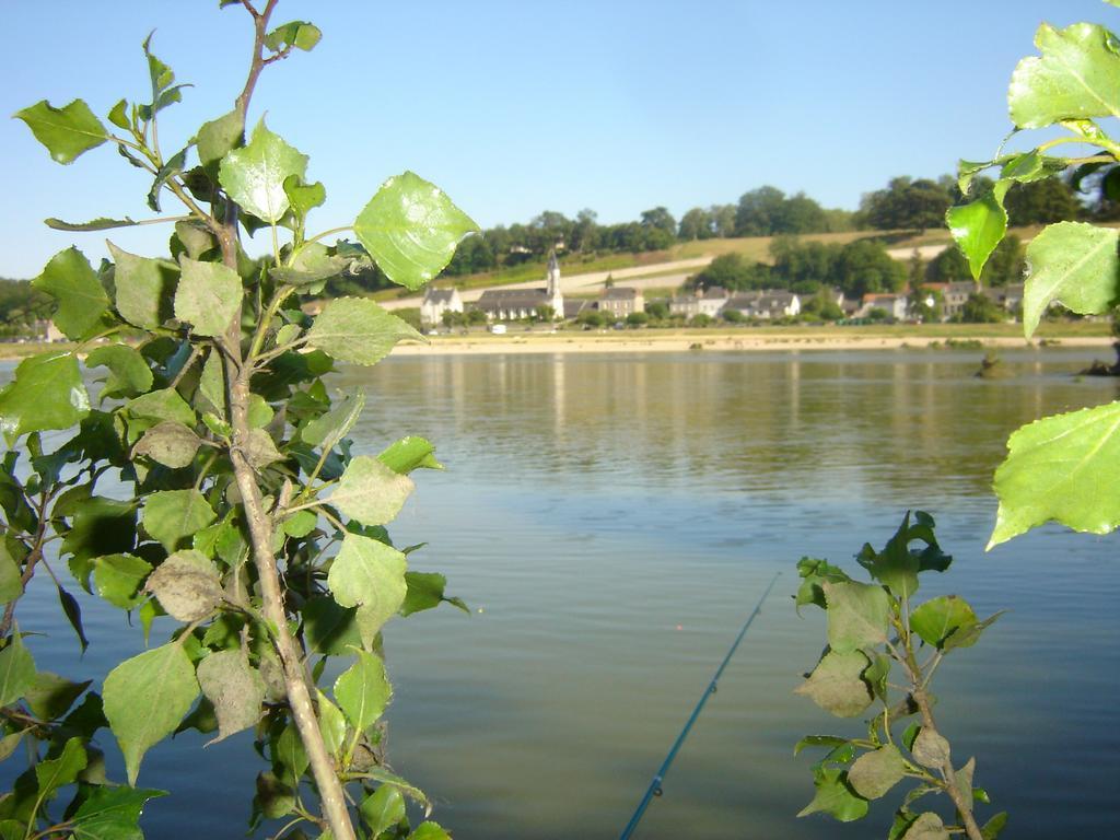 Ferienwohnung Les Bords De Loire Veuves Zimmer foto
